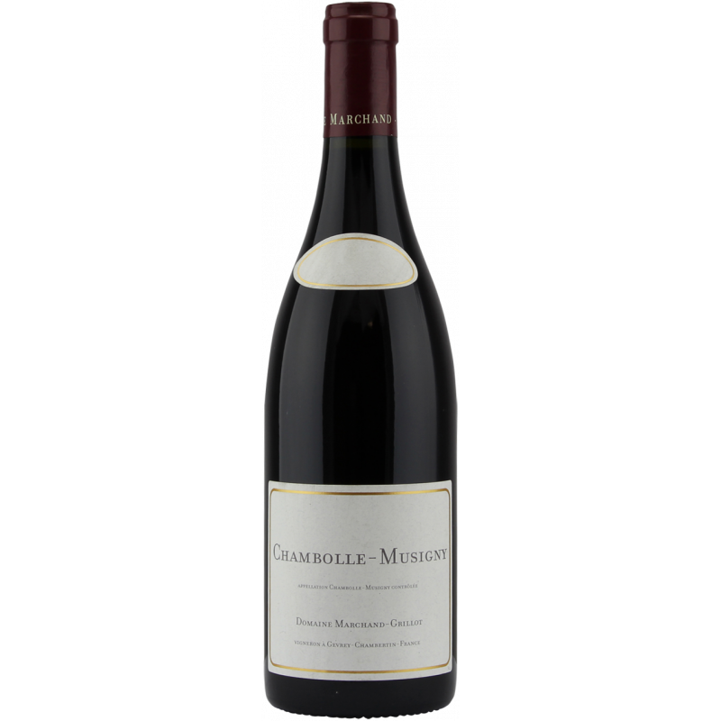 Domaine Marchand-Grillot Chambolle-Musigny | French Wine